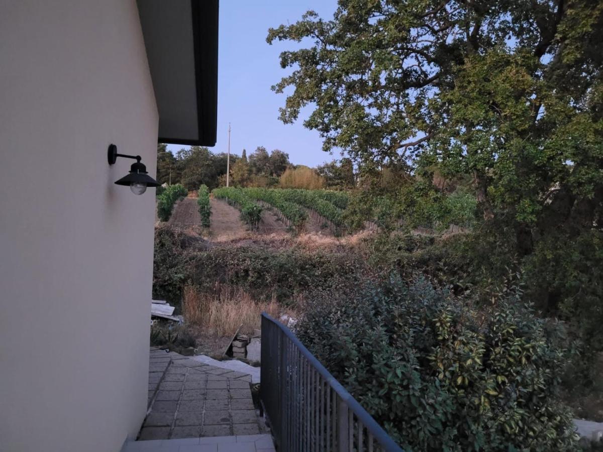 La Residenza Di Campagna Guest House Manciano Exterior photo